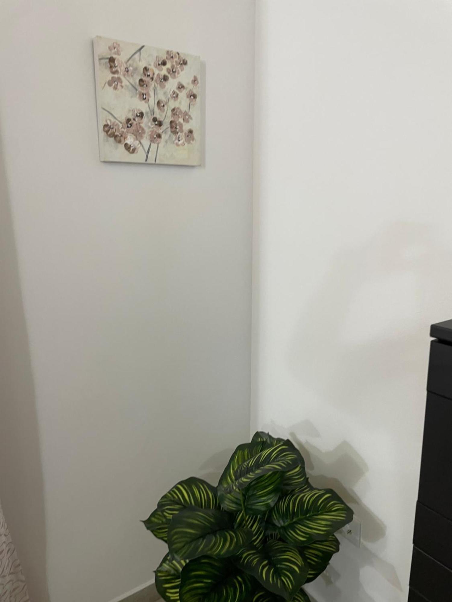 Casa Delia Daire Bornos Dış mekan fotoğraf