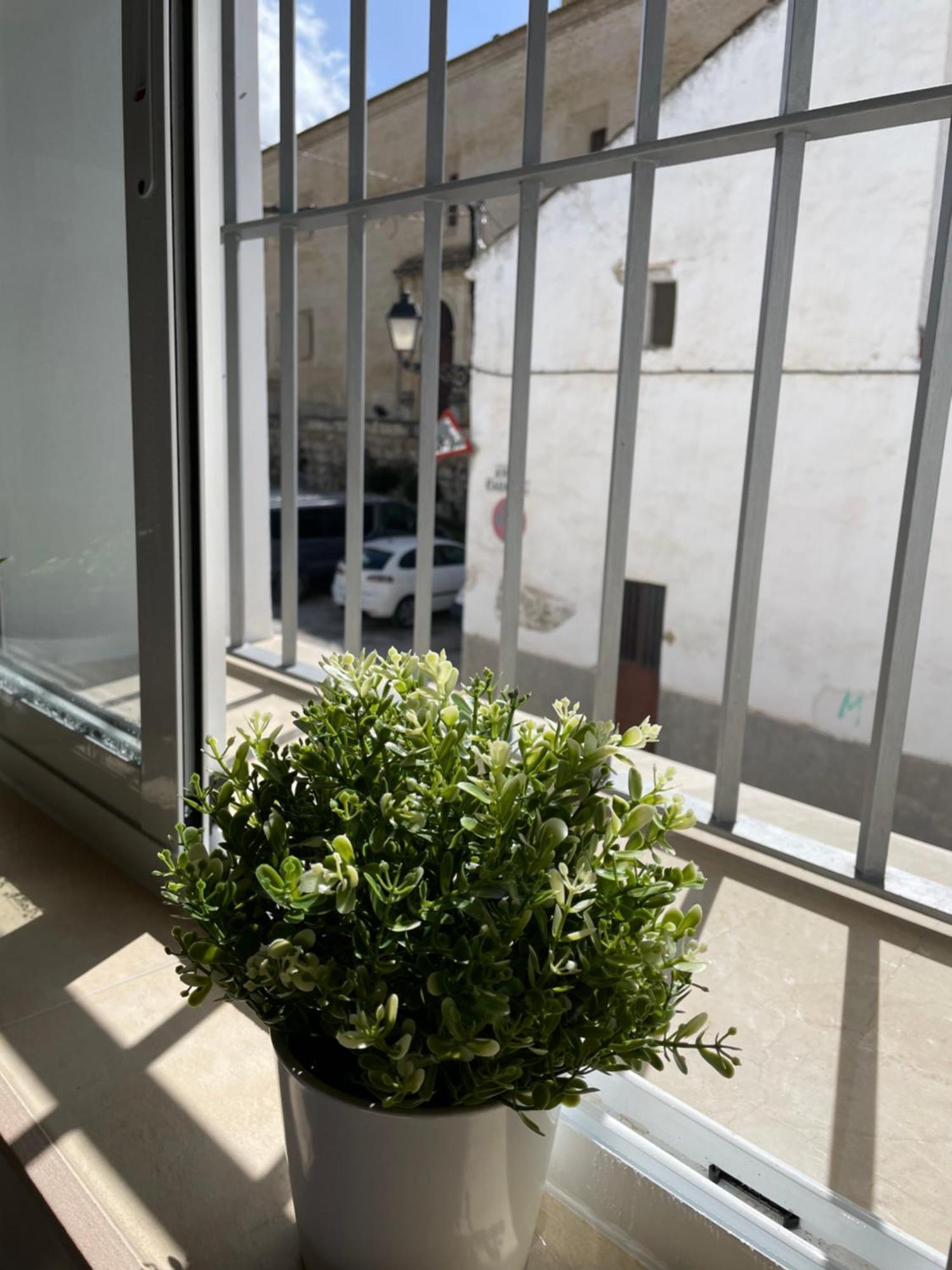 Casa Delia Daire Bornos Dış mekan fotoğraf